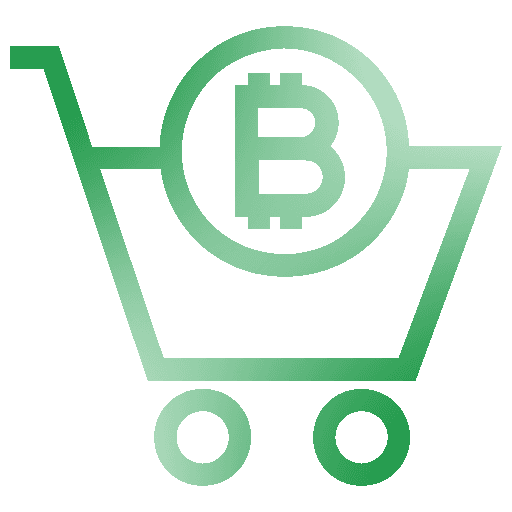 E-commerce Platforms